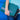 Ridge Botanical Green Sleeve